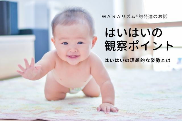 はいはいの観察ポイント - WARAリズムⓇ